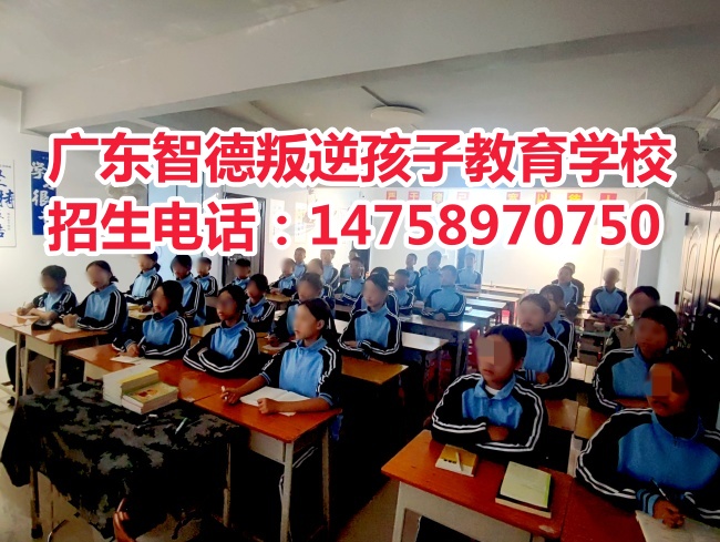 教学效果好的广东叛逆孩子学校，广东智德叛逆孩子教育学校